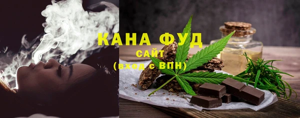 хмурый Арсеньев
