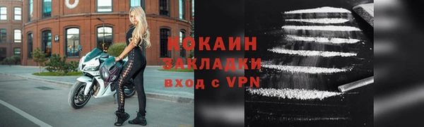 хмурый Арсеньев