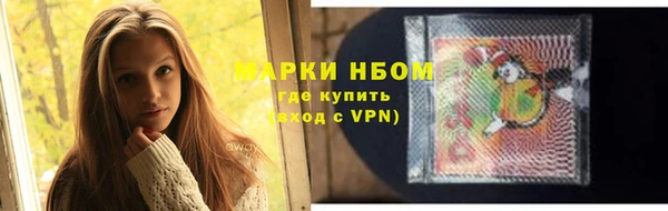 хмурый Арсеньев