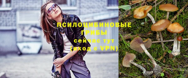 хмурый Арсеньев