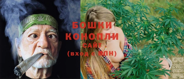 хмурый Арсеньев