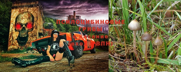 хмурый Арсеньев