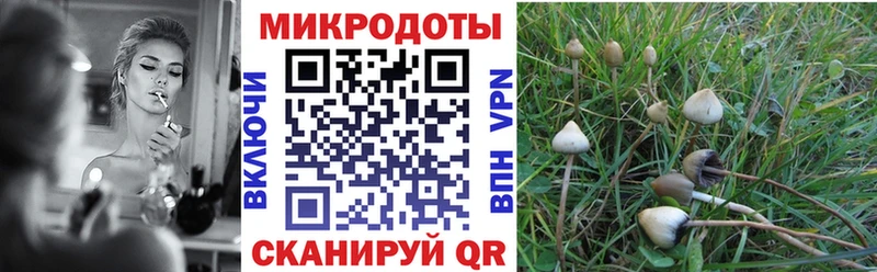 наркошоп Мыски площадка какой сайт Галлюциногенные грибы GOLDEN TEACHER